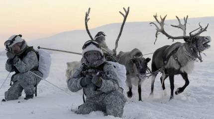 Как только льды подтают. США собираются "конкурировать" с Россией в Арктике