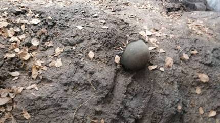 Выживший: Сержант Филиппов