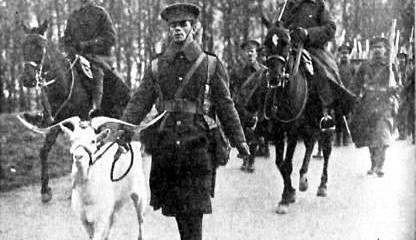 Рогатый талисман и пернатый майор