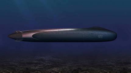 «Субмарина приблизится к идеальным биоформам»: во Франции разрабатывается подлодка SMX31E