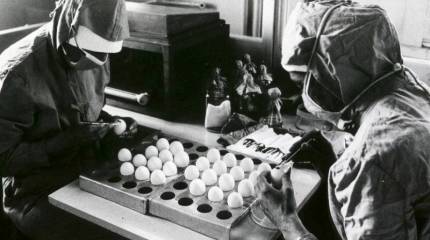 Трагедия в Любеке: когда вакцина действительно убивает