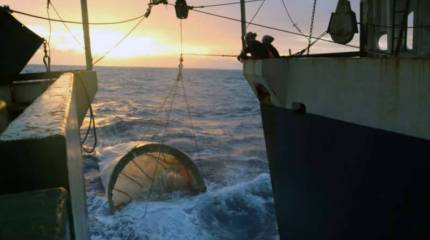 Минобороны Дании рассекретило прошлогодние данные о неопознанных субмаринах