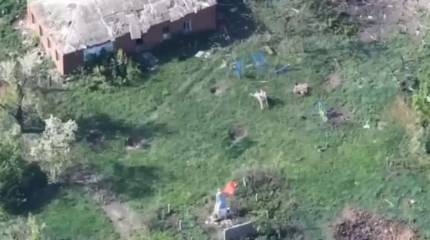 Военкоры сообщили об освобождении ВС РФ в День Победы н.п. Уманское на Авдеевском участке фронта