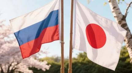 Минэкономики Японии: Токио направит делегацию в РФ, но не для сотрудничества