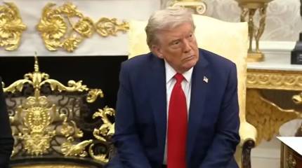 Трамп - Зеленскому: По вашей логике, выборов на Украине больше вообще не будет?