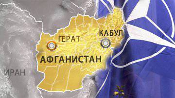 Командующий силами НАТО в Афганистане призывает приостановить вывод войск на год ("The Telegraph", Великобритания)