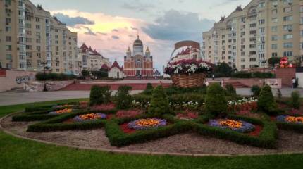 Записки Колорадского Таракана. С мячом к воротам по граблям