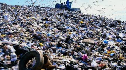 Больше свалок и квитанций! Мусорная реформа в переносном смысле?