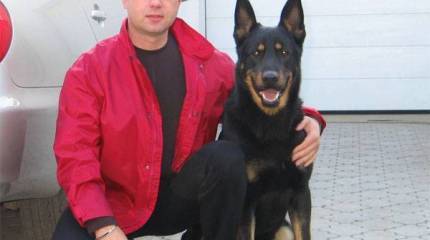 Британские журналисты - премьеру Молдовы: Когда будете объединяться с Румынией?