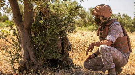 Израильский аналитик: Страной, определяющей баланс сил в Сирии, является Россия