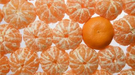 Либералы и патриоты в едином порыве скорбят о "гастарбайтерах" из Луганска