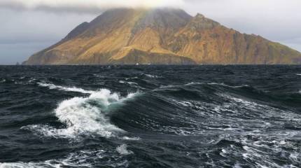 От мёртвого осла уши, а не Курилы. Сладкие речи Японии приправлены ядом!
