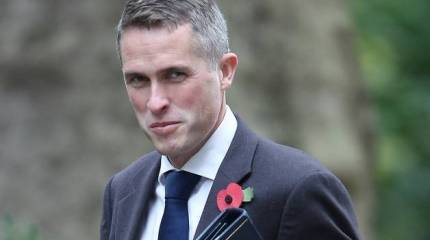 Главу МО Британии обвинили в заговоре против Мэй