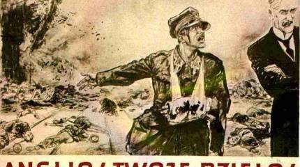 Польско-европейская война