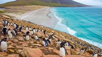 «Драка двух лысых за расчёску» — острова на краю света