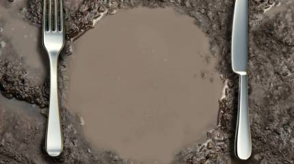 Современные плебеи и патриции как зародыш гражданской войны