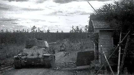 Сражение за укрепрайон Котон в августе 1945 года: бег по грязи