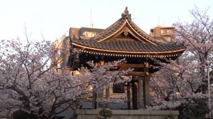 5 апреля 1918 началась высадка японских войск во Владивостоке: напомним Токио об оккупации российских земель