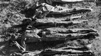 Война на уничтожение