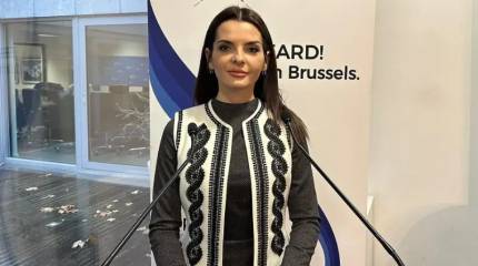 Молдавский суд на 20 суток арестовал главу Гагаузии