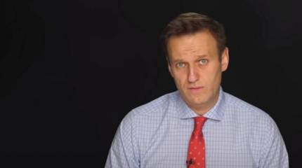 На Украине призвали предоставить политическое убежище Навальному