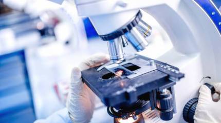 Вирусные войны - новая реальность