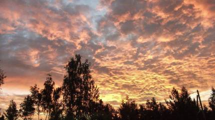 А надо ли понимать непонятную Россию?