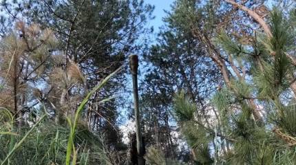 ВСУ рискуют потерять в ближайшее время обширную территорию на востоке Харьковской области