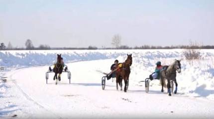 Не на тех поставили: о прогнозах экспертов по поводу кандидата на смену Медведеву