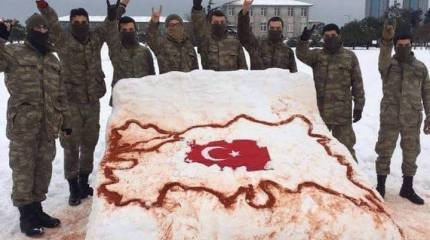 Анкара заявила о сформированной группировке для военной операции в Сирии