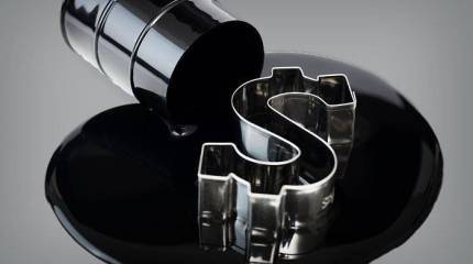 Проект экономического убийства России