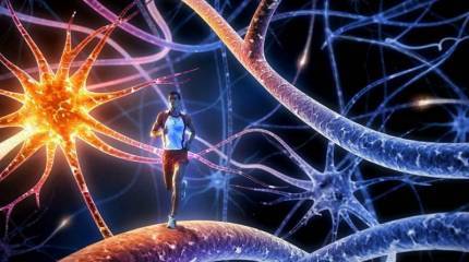 Русский глобальный проект против американского: как не ошибиться в выборе