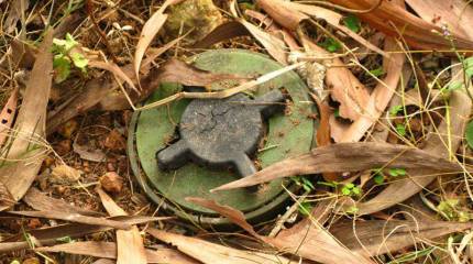 Оружие под запретом. Часть 3. Противопехотные мины