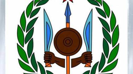 Записки Колорадского Таракана. «А царь-то ненастоящий!»