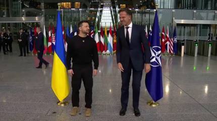 Рютте: НАТО не обещала Украине членство в альянсе в рамках урегулирования конфликта