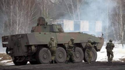 «Леопарды», «Крабы» и «Раки» увеличат мощь сухопутных войск Польши