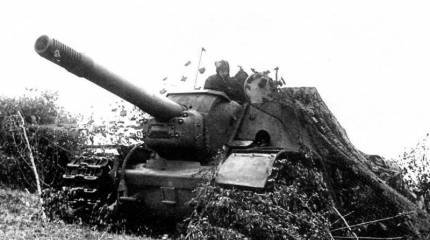 В бой идут самоходы - "Зверобой" против "Фердинанда"