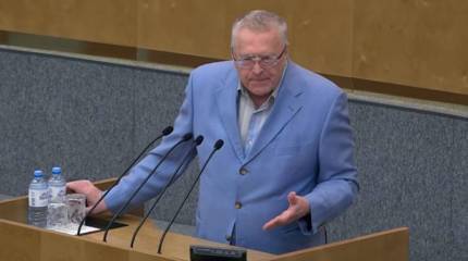 Жириновский предложил не наказывать россиян за превышение пределов допустимой самообороны