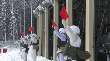 «Крым и Украина волнуют немцев, поляков и американцев больше, чем самих украинцев»: читатели Bild «о готовящемся вторжении РФ на Украину»