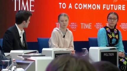 В Швеции хотят заменить статую короля Карла XII памятником Грете Тунберг