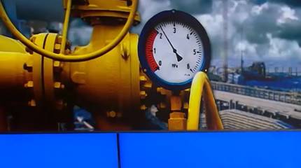 Европейские бизнесмены и политики требуют от своих властей возобновить закупку энергоносителей из РФ