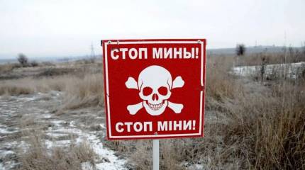 Литва полностью свободна от обязательств по неприменению противопехотных мин