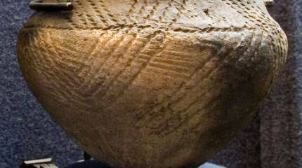 Мы все от Адама и Евы, мы все с одного корабля… (часть 2)