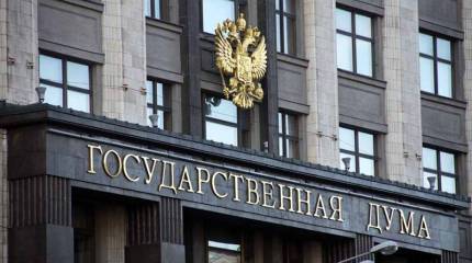 В Госдуме предлагают провести миграционную амнистию для жителей ДНР и ЛНР