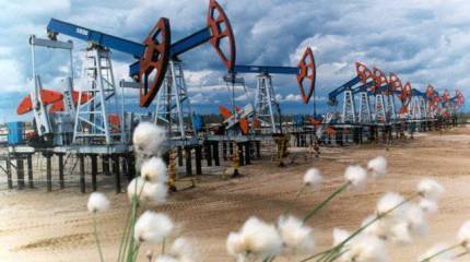 Что ждет Россию к 2030 году