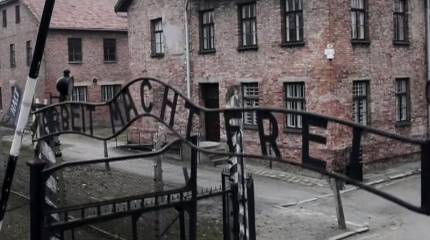 Чешский автор разоблачает ложь Запада об освобождении Освенцима