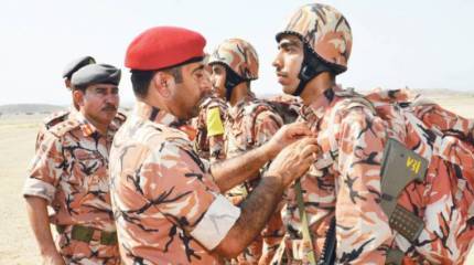 Дальнобойный нейтралитет