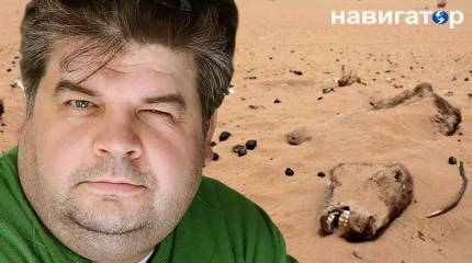 Украина разработала «стратегию возвращения Крыма»