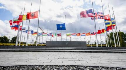 Надо проверить 5 статью и призвать НАТО к южной границе – Трамп троллит в Давосе