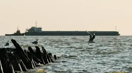 «Пулемета я вам не дам!»: Что мы можем противопоставить атакам в Приазовье